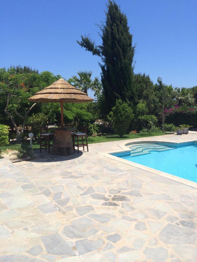 In With A Pool!